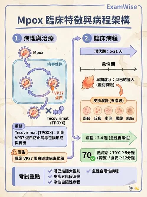 專師 - 法定傳染病與新興感染 - AI 圖文解析預覽