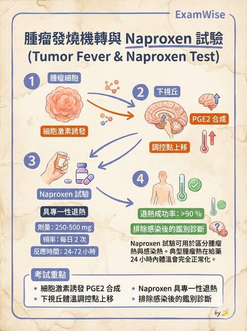 專師 - 腫瘤急症 - AI 圖文解析預覽
