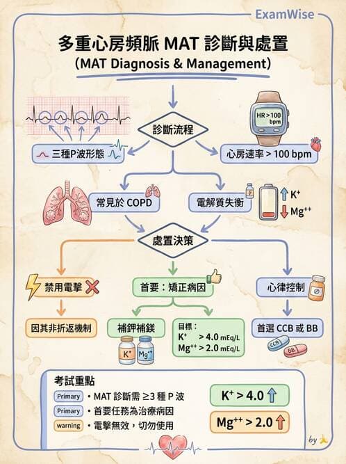 專師 - 心律不整與ECG判讀 - AI 圖文解析預覽