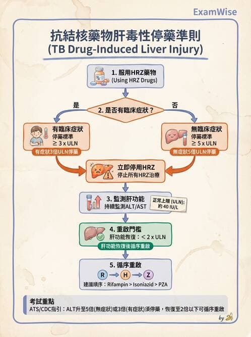 專師 - 肺炎與肺部感染 - AI 圖文解析預覽