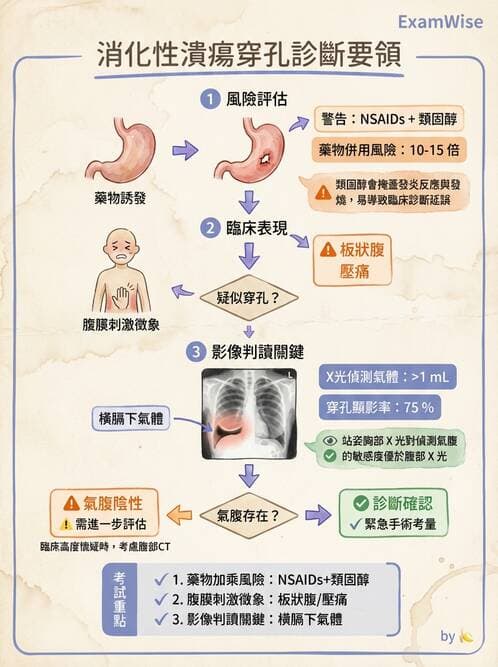 專師 - 上消化道 - AI 圖文解析預覽