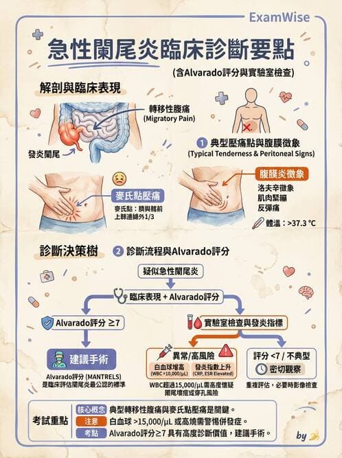 專師 - 闌尾炎與腸道外科 - AI 圖文解析預覽