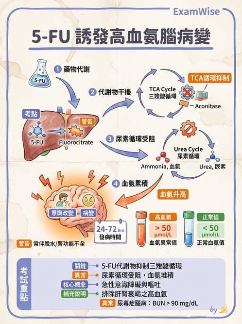 專師 - 肺癌與消化道癌 - AI 圖文解析預覽