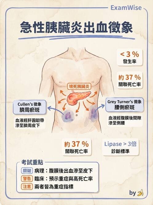 專師 - 膽道與胰臟 - AI 圖文解析預覽