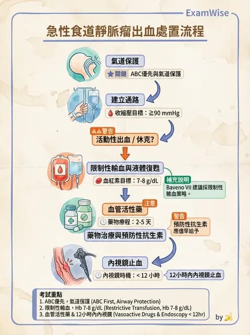 專師 - 上消化道 - AI 圖文解析預覽