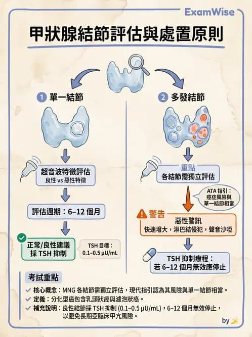 專師 - 甲狀腺疾病 - AI 圖文解析預覽