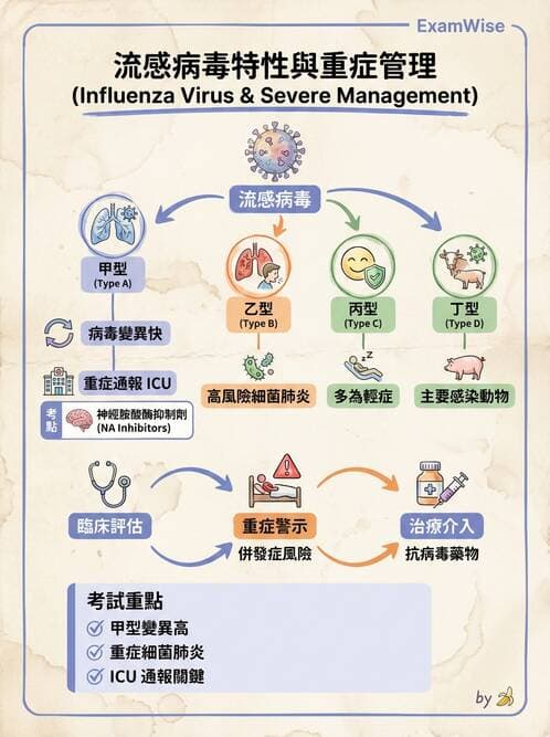 專師 - 法定傳染病與新興感染 - AI 圖文解析預覽
