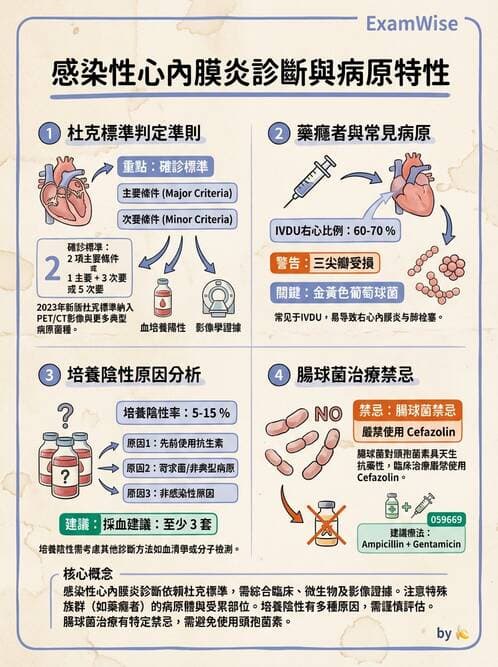 專師 - 感染性心內膜炎 - AI 圖文解析預覽