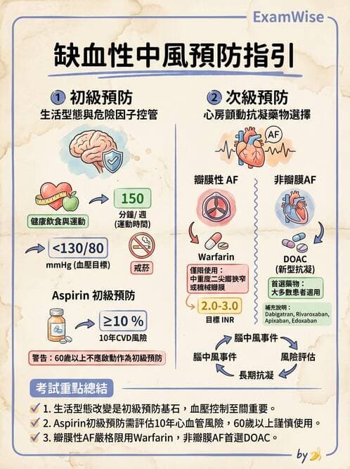 專師 - 腦血管疾病 - AI 圖文解析預覽