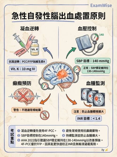 專師 - 腦血管疾病 - AI 圖文解析預覽