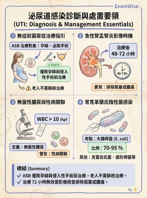 專師 - 泌尿道感染 - AI 圖文解析預覽