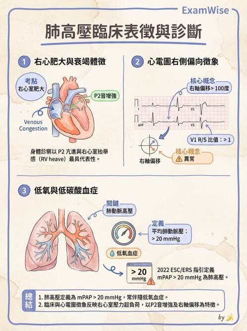 專師 - 周邊血管與靜脈疾病 - AI 圖文解析預覽