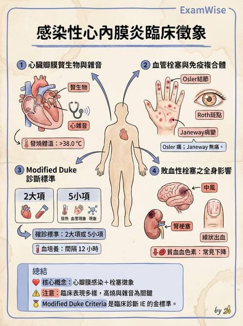 專師 - 心包膜與心肌疾病 - AI 圖文解析預覽