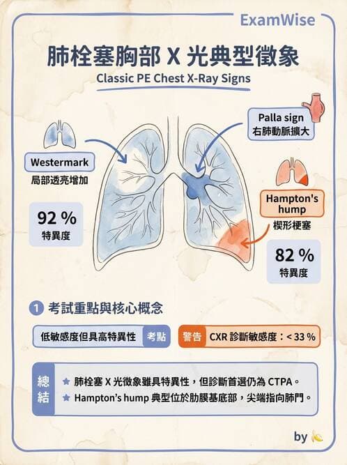 專師 - 肺栓塞與其他肺疾 - AI 圖文解析預覽