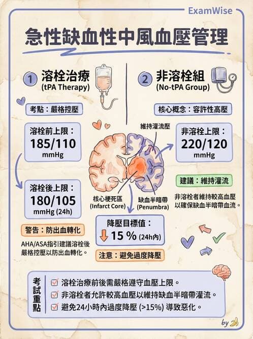 專師 - 腦血管疾病 - AI 圖文解析預覽