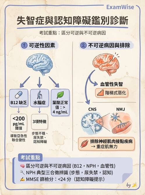 專師 - 神經退化與免疫疾病 - AI 圖文解析預覽