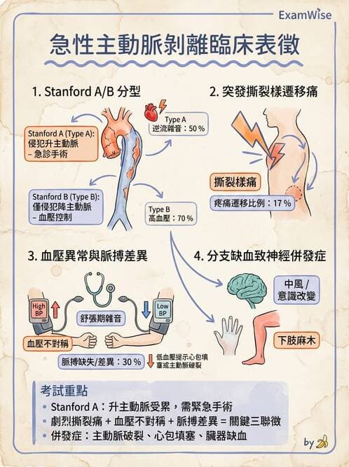 專師 - 主動脈疾病 - AI 圖文解析預覽