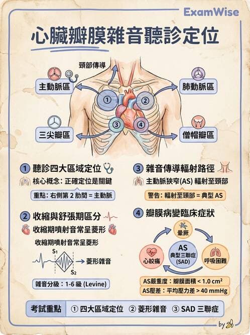 專師 - 瓣膜疾病 - AI 圖文解析預覽