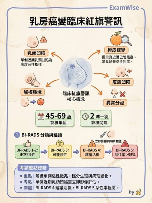 專師 - 乳房外科 - AI 圖文解析預覽