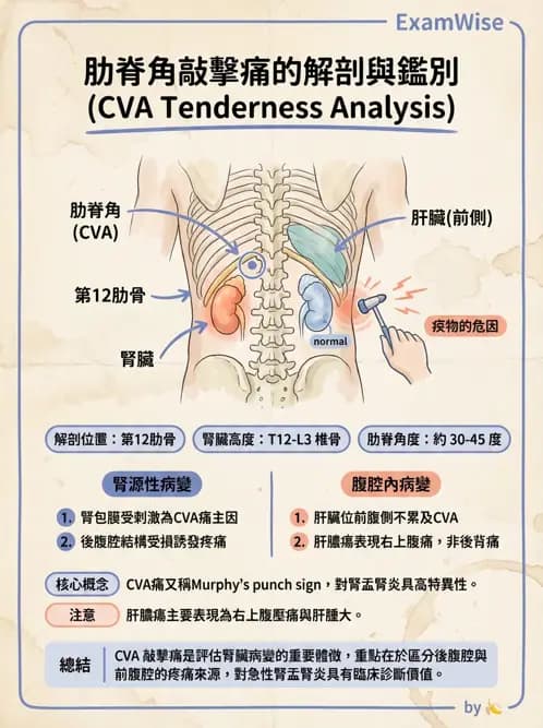 專師 - 糖尿病腎病變與腎絲球疾病 - AI 圖文解析預覽