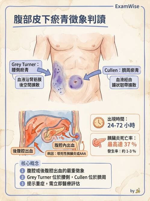 專師 - 膽道與胰臟 - AI 圖文解析預覽