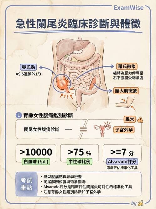 專師 - 闌尾炎與腸道外科 - AI 圖文解析預覽