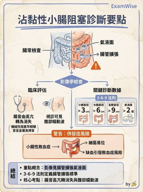 專師 - 大腸直腸癌與息肉 - AI 圖文解析預覽