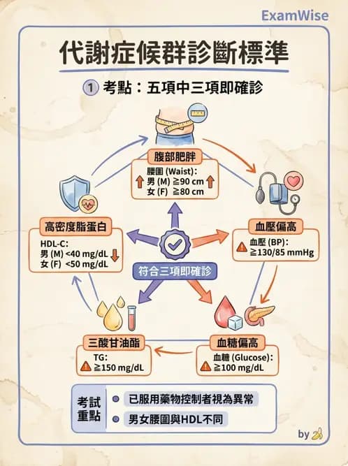 專師 - 代謝症候群與血脂 - AI 圖文解析預覽