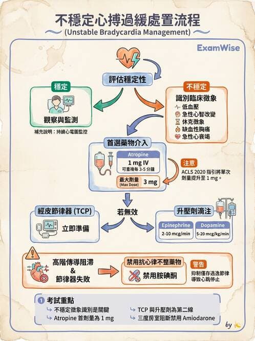 專師 - 心律不整與電擊治療 - AI 圖文解析預覽