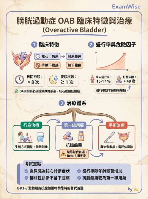 專師 - 尿失禁與排尿障礙 - AI 圖文解析預覽