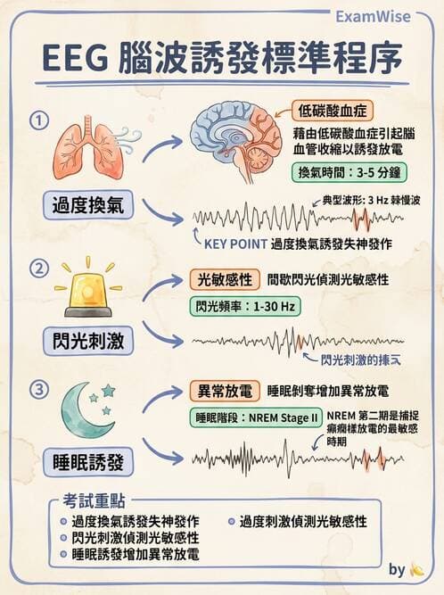 醫檢師 - 腦電圖檢查 - AI 圖文解析預覽