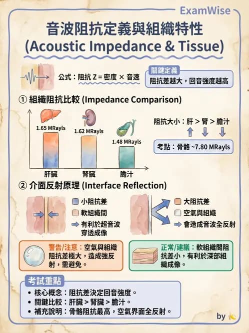 醫檢師 - 超音波檢查 - AI 圖文解析預覽