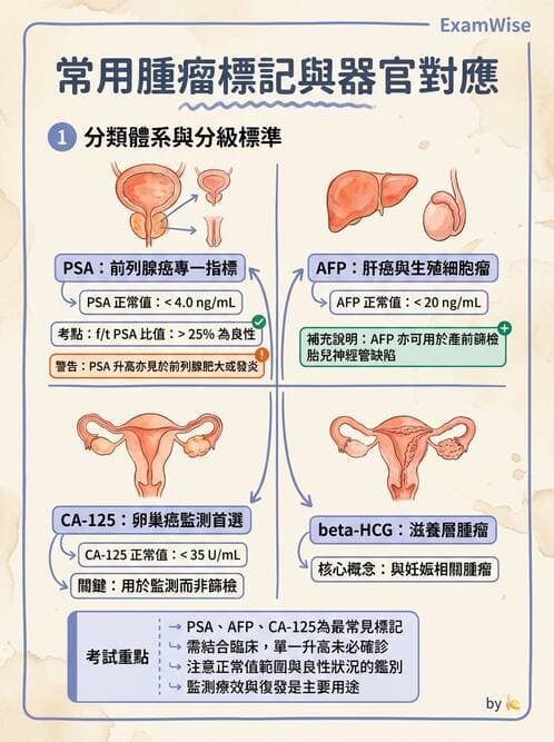 醫檢師 - 腫瘤概論 - AI 圖文解析預覽