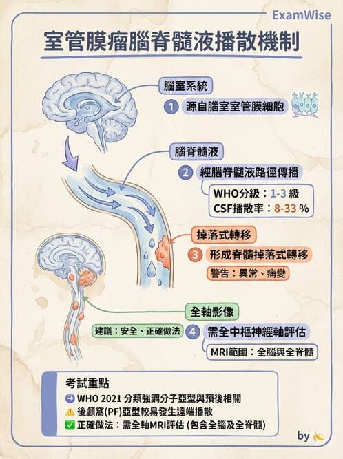 醫檢師 - 腫瘤概論 - AI 圖文解析預覽