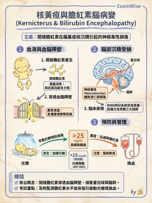 醫檢師 - 遺傳和發育疾病 - AI 圖文解析預覽