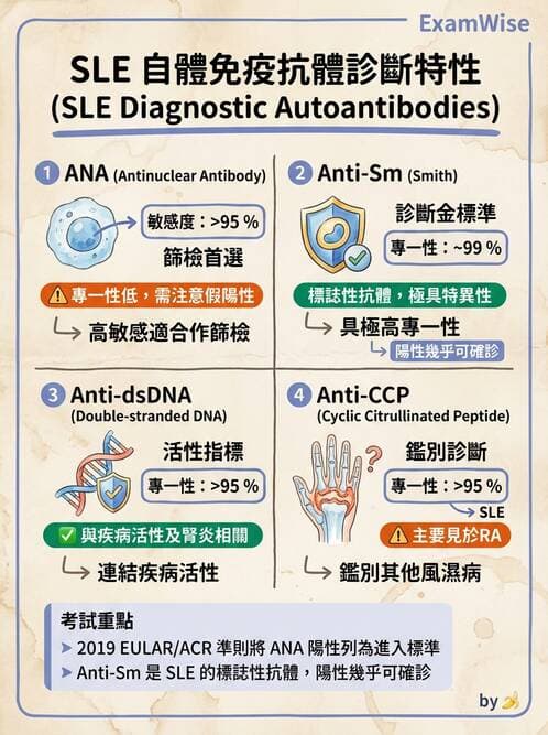 醫檢師 - 免疫疾病 - AI 圖文解析預覽