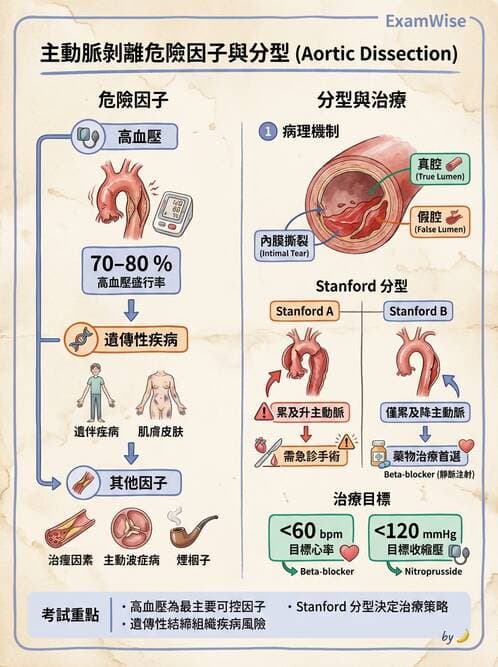 醫檢師 - 心血管疾病 - AI 圖文解析預覽