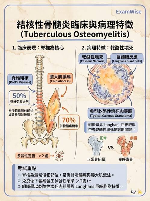醫檢師 - 骨骼及軟組織疾病 - AI 圖文解析預覽
