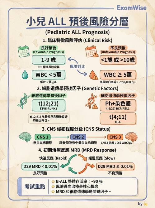 醫檢師 - 急性白血病 - AI 圖文解析預覽