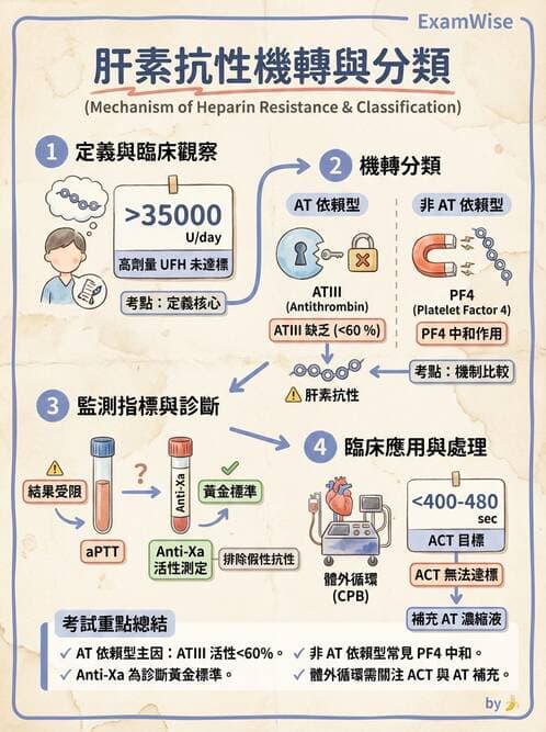 醫檢師 - 血栓性疾病與抗凝治療監測 - AI 圖文解析預覽