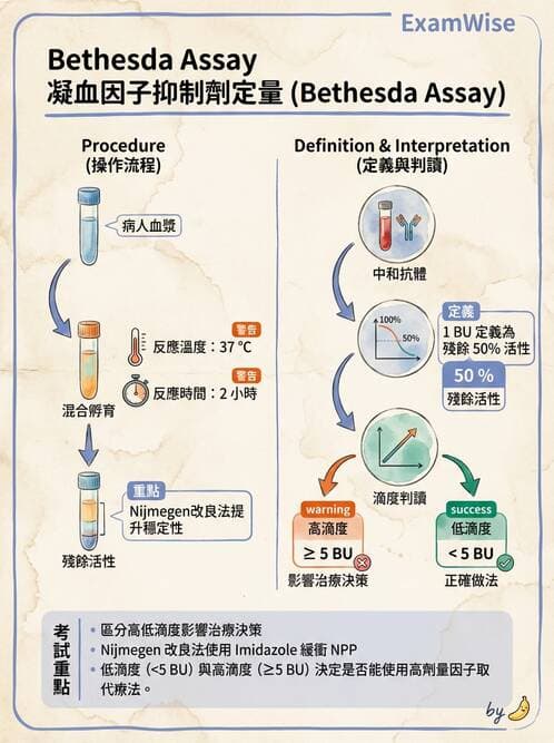 醫檢師 - 出血性疾病與檢驗 - AI 圖文解析預覽