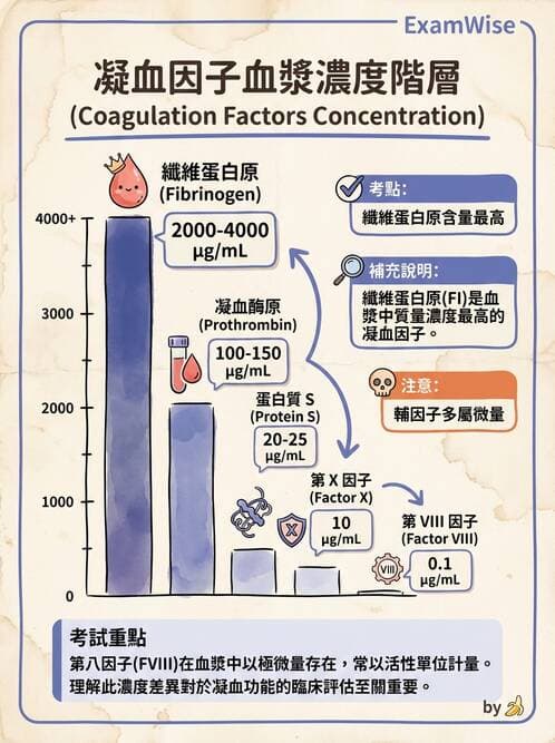 醫檢師 - 凝血因子與凝血檢驗 - AI 圖文解析預覽
