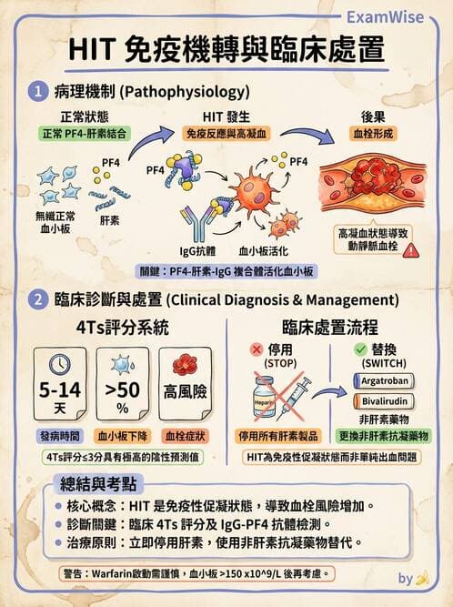 醫檢師 - 血栓性疾病與抗凝治療監測 - AI 圖文解析預覽