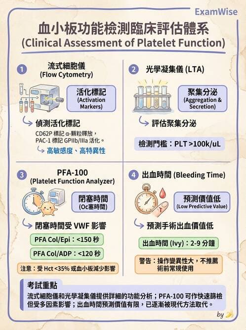 醫檢師 - 血小板與止血生理 - AI 圖文解析預覽