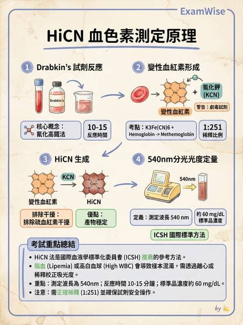 醫檢師 - 紅血球生理與形態 - AI 圖文解析預覽