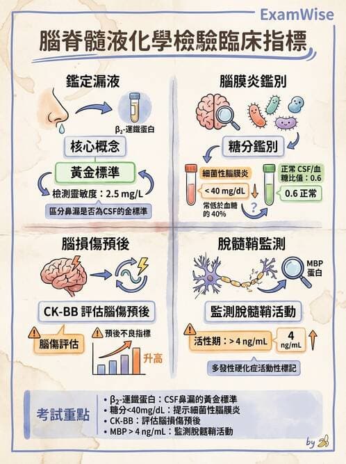 醫檢師 - 腦脊髓液檢查 - AI 圖文解析預覽