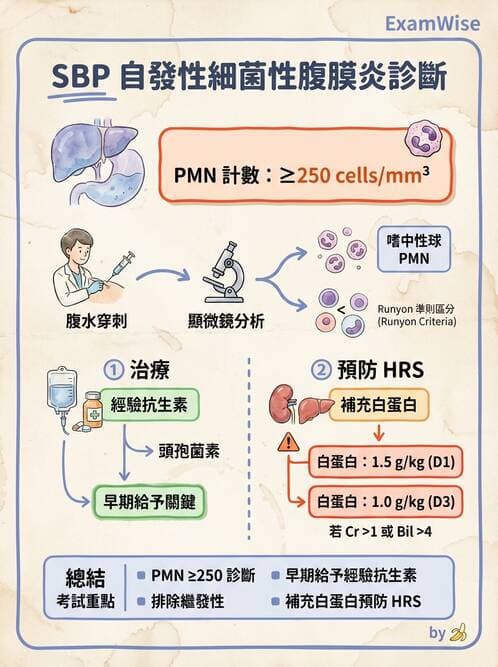 醫檢師 - 穿刺液檢查 - AI 圖文解析預覽