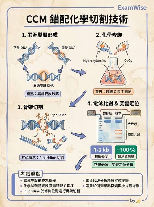 醫檢師 - 定序電泳與表觀分析 - AI 圖文解析預覽