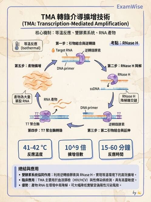 醫檢師 - 核酸擴增與萃取技術 - AI 圖文解析預覽
