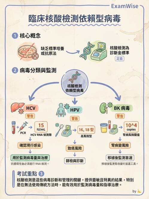 醫檢師 - 感染症分子檢驗 - AI 圖文解析預覽